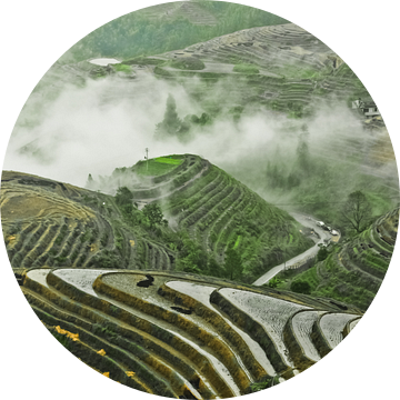 Rijstterras in China Mistig herfstlandschap met rijstterrassen. China, Yangshuo, Longsheng Rijstterr van Michael Semenov