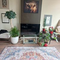 Photo de nos clients: Beauté rustique - Highlander écossais en contemplation par Eva Lee, sur artframe