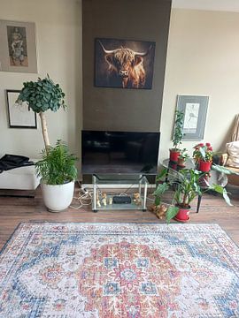 Klantfoto: Rustieke Schoonheid - Schotse hooglander in Contemplatie van Eva Lee