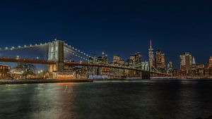 Brooklyn Nights