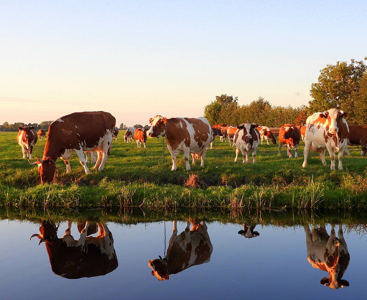 Landelijk Plaatje by Gert van der Hee
