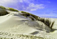 Duinen op Langeoog in de Noordzee Oost-Friesland