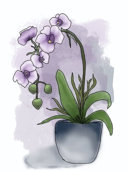 Illustration de l'orchidée en pot par Golden Haze Studio