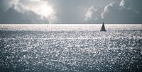 Beyond the Horizon