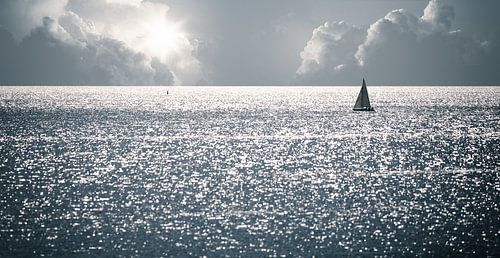 Beyond the Horizon