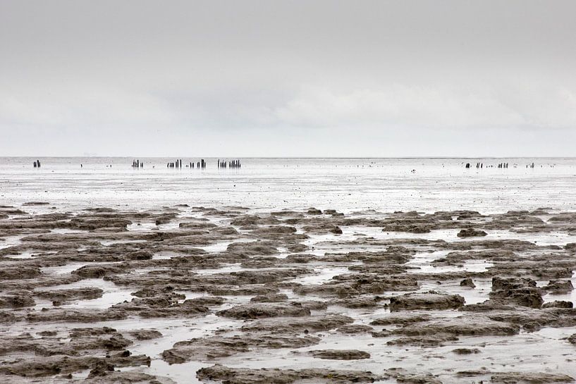 Moddergat at low tide by Helena Beumer