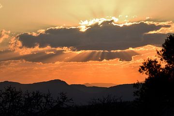 Mooie avondzon over het landschap Zuid Afrika van Truus Hagen
