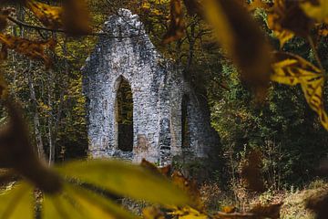 Ancient ruin in autumn forest, Chamonix | Nature Photography by Merlijn Arina Photography
