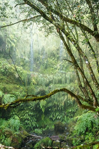 50 shades of green by Thijs Kupers