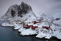 Red houses in the snow