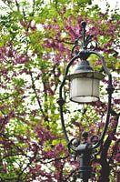Een antieke lantaarnpaal in een bloemrijk park in Boedapest, Hongarije