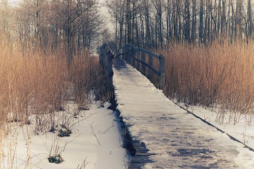 Die Brücke