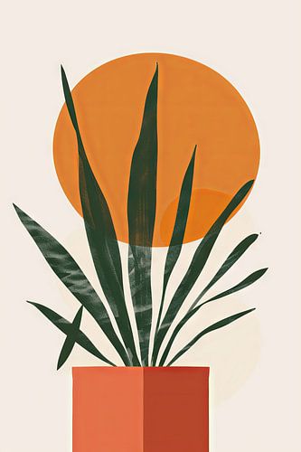 Plante au soleil - Botanique abstraite