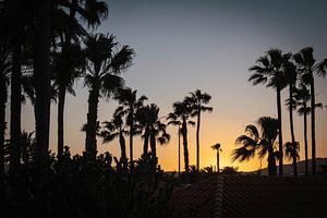 Coucher de soleil tropical