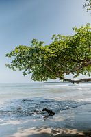 Travel photography