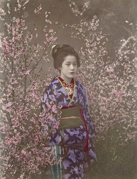 "A Damsel" - Maiko à la saison des cerisiers en fleurs, Ogawa Kazumasa