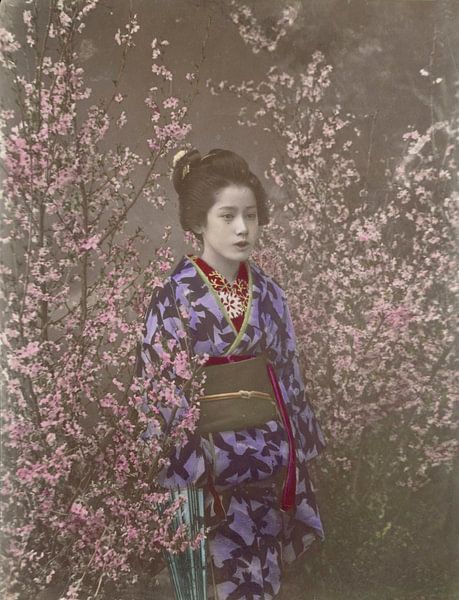 "A Damsel" - Maiko à la saison des cerisiers en fleurs, Ogawa Kazumasa par Des maîtres magistraux