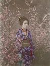 "A Damsel" - Maiko à la saison des cerisiers en fleurs, Ogawa Kazumasa par Des maîtres magistraux Aperçu