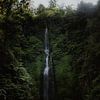 Prachtige watervallen op Bali | Leke leke waterval van Anouk Strijbos