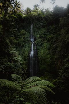 Belles chutes d'eau à Bali | Chute d'eau de Leke leke sur Anouk Strijbos