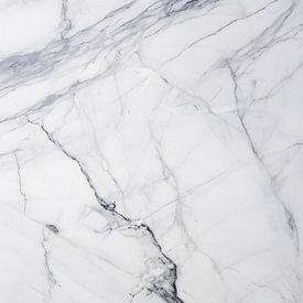 Timeless marble veins in white and grey by Daniel Rüttinger