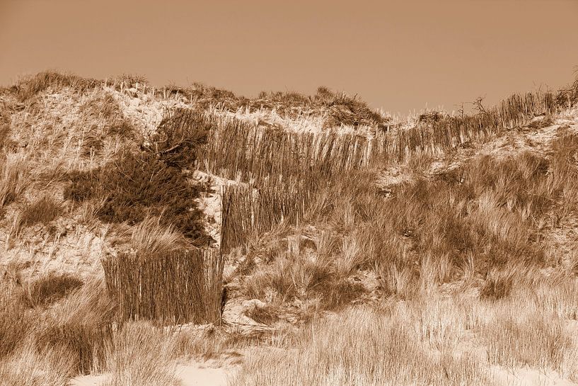A dune in Zeeland in sepia by Jose Lok