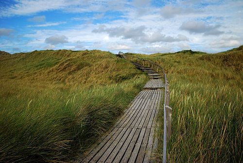 Chemin de la plage sur Hannes Cmarits