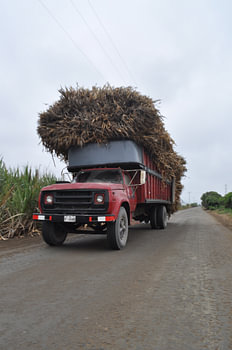 Old truck loaded with sugarcane