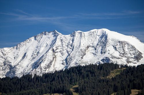 Dômes de Miage - Mont Blanc-massief - Haute-Savoie - Frankrijk
