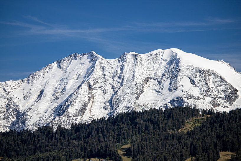 Dômes de Miage - Mont Blanc Massif - Haute-Savoie - France by Nicolas LEMAIRE