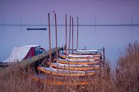 boats