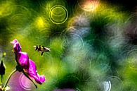 Biene von Udo Wanninger limitiete Auflage Miniaturansicht