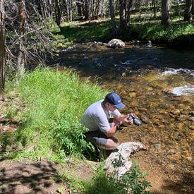 koen hooghuis profielfoto