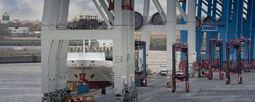 Containerterminal in de haven van Hamburg
