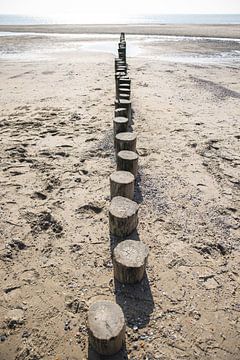 Rij houten palen op het strand van bovenaf gefotografeerd van Simone Janssen
