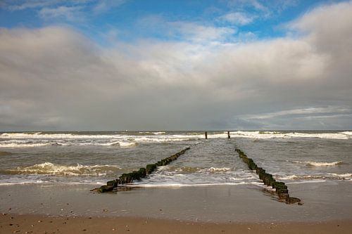 groynes north sea beach zeeland