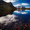 Lofoten - Noorwegen van Roy Poots