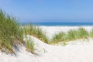 Paysage de dunes Îles néerlandaises des wadden sur Hilda Weges