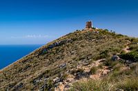 Heuvel begroeid met groene struiken en torenruïnes bij Cala Agulla op Mallorca