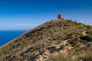Mit grünen Büschen bewachsener Hügel und Turmruine bei Cala Agulla auf Mallorca