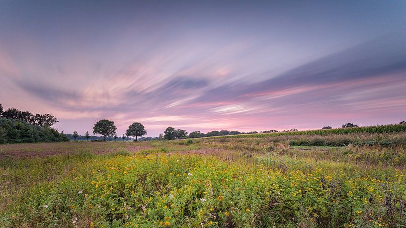 The purple sky van Davy Sleijster