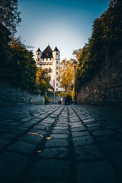 Blick auf die Kurfürstliche Burg in Eltville von Fotos by Jan Wehnert