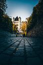 Gezicht op het keurvorstelijke kasteel in Eltville van Fotos by Jan Wehnert thumbnail