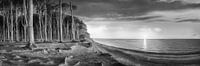 Coastal landscape at the Baltic Sea in black and white.