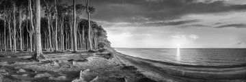 Kustlandschap aan de Oostzee in zwart-wit. van Manfred Voss, Schwarz-weiss Fotografie