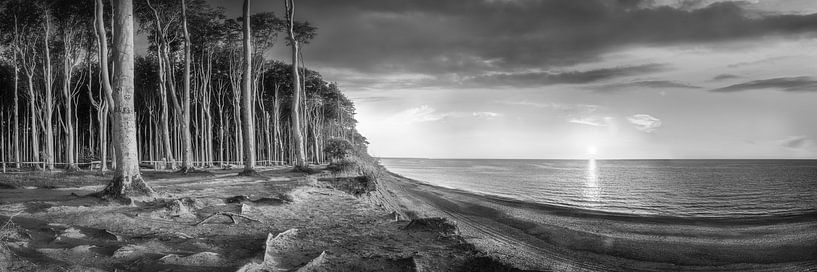 Coastal landscape at the Baltic Sea in black and white. by Manfred Voss, Black-White Photography