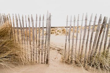 Dunes in the Westduinpark in Scheveningen by Anne Zwagers