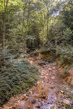 Servië - Davolja Varos van Photoart-Naegele
