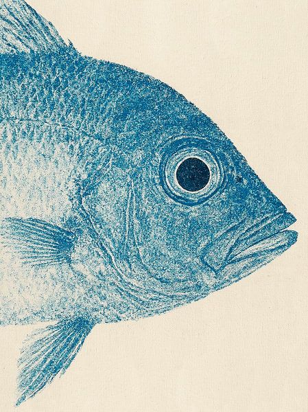 Poisson Gyotaku 05 par Fernando Vieira