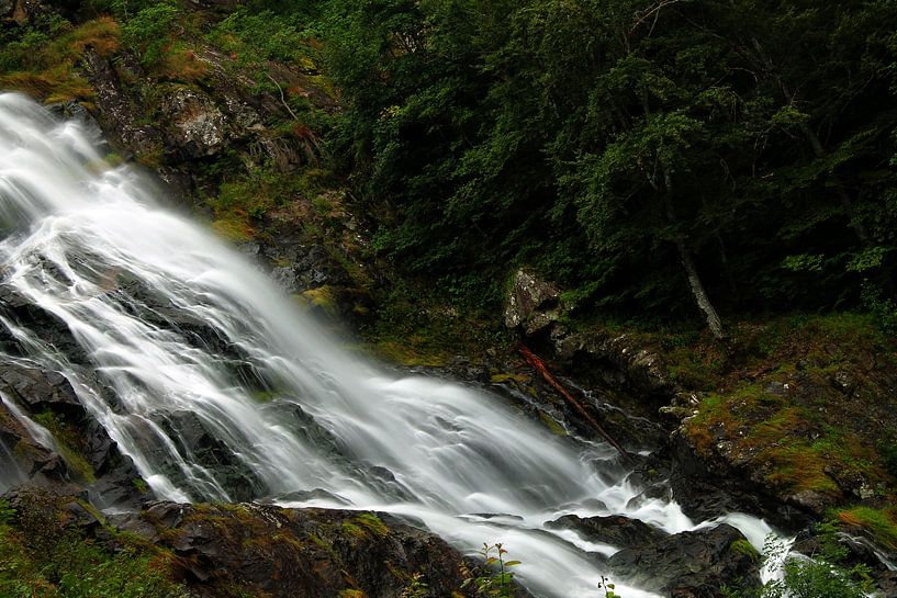 Waterval by Tamara Photography